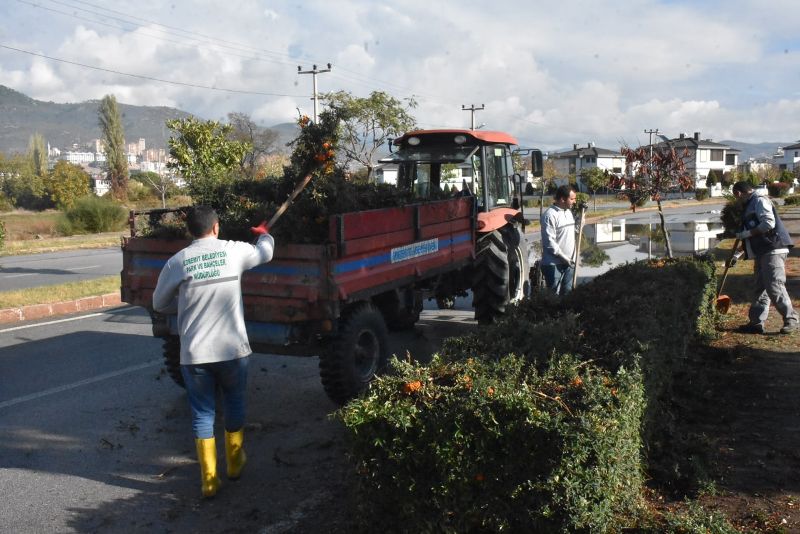 budama-1 EDREMİT’TE 12 AY DÜZENLİ YEŞİL ALANLAR