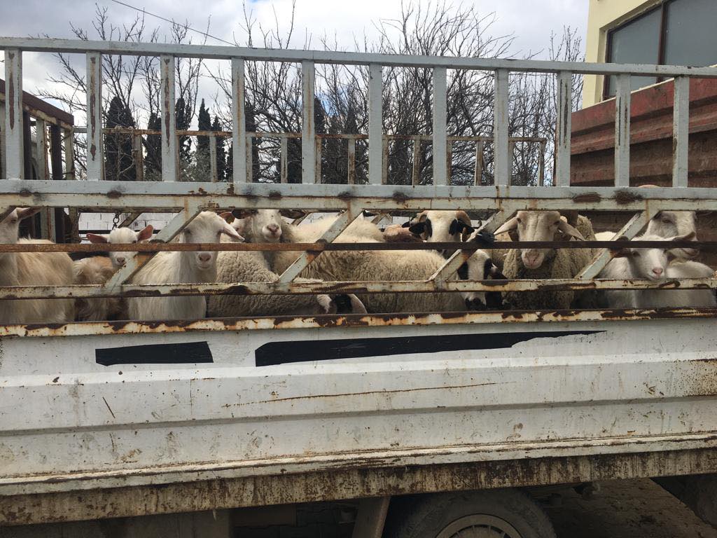 13 HAVRAN DEPREM BÖLGESİNE HER GÜN YARDIM GÖNDERDİ