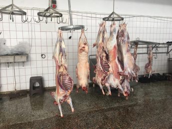 15-345x259 HAVRAN DEPREM BÖLGESİNE HER GÜN YARDIM GÖNDERDİ