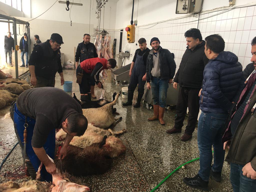 18 HAVRAN DEPREM BÖLGESİNE HER GÜN YARDIM GÖNDERDİ