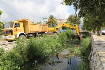 Pina Deresi (7)