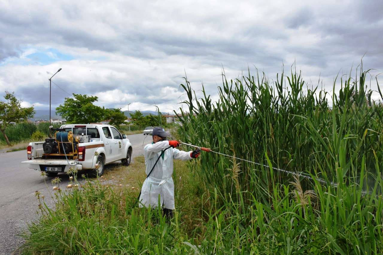 ilaclama-6 EDREMİT’TE SİVRİSİNEK İLE MÜCADELE