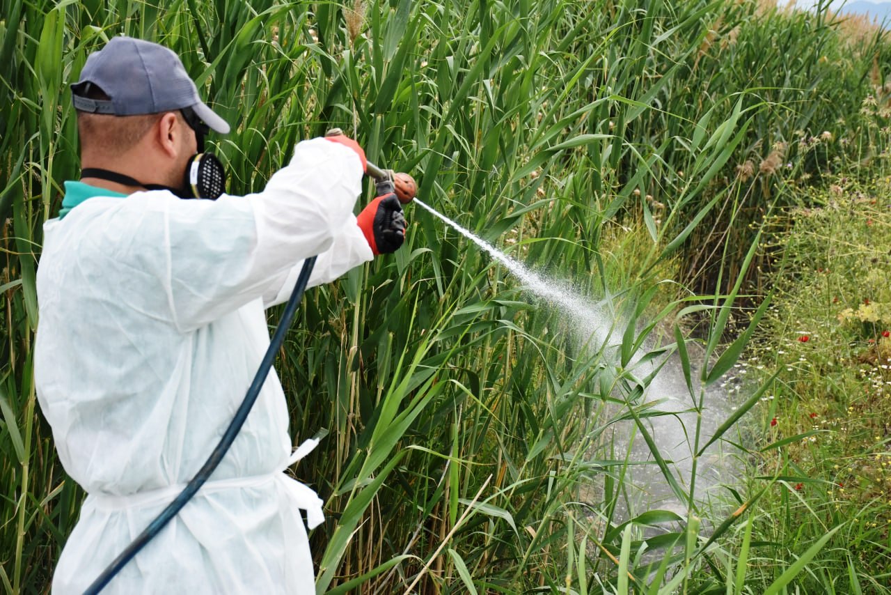 ilaclama-7 EDREMİT’TE SİVRİSİNEK İLE MÜCADELE