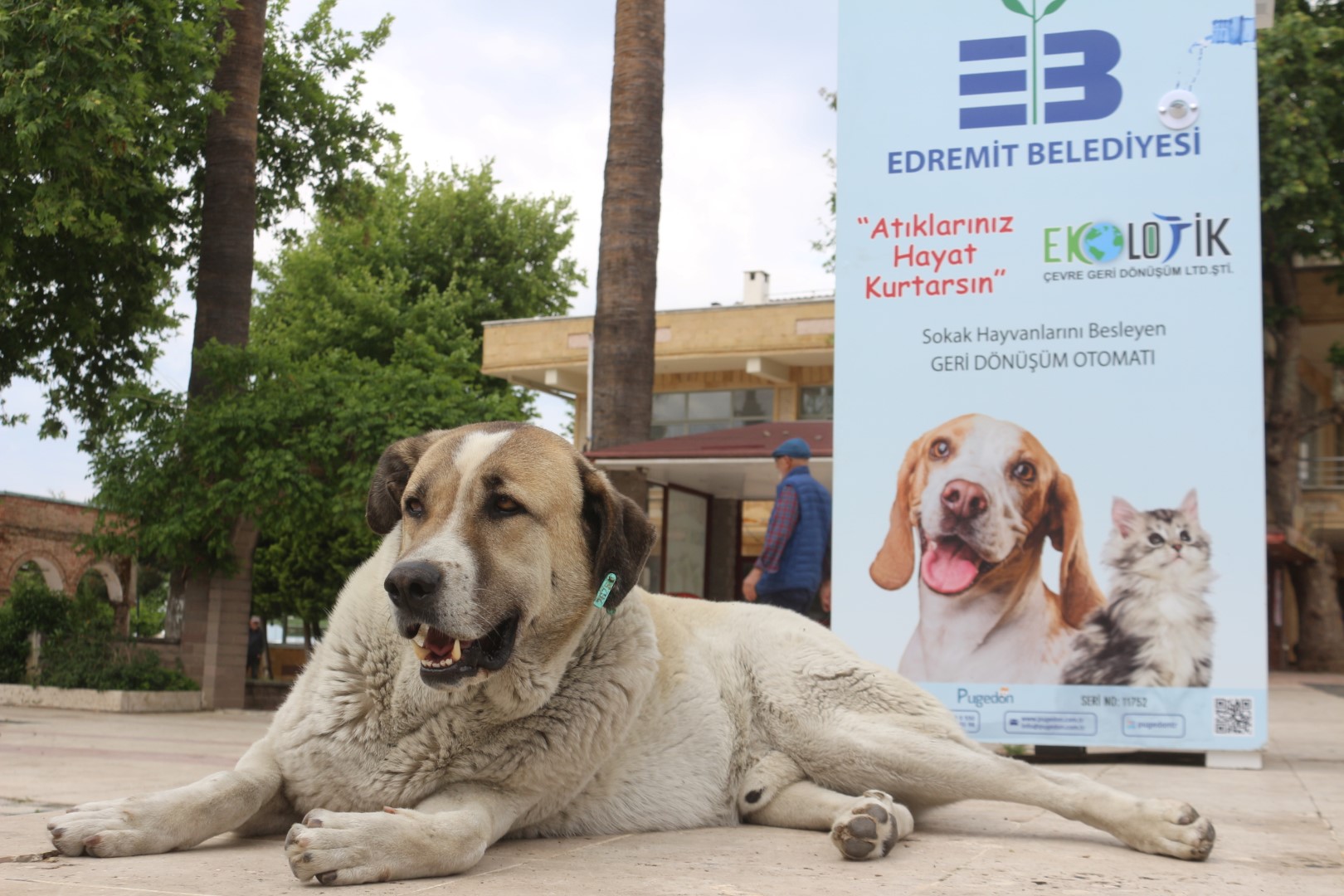 mamamatik-8 ATIKLARINIZ SOKAK HAYVANLARINA CAN OLSUN