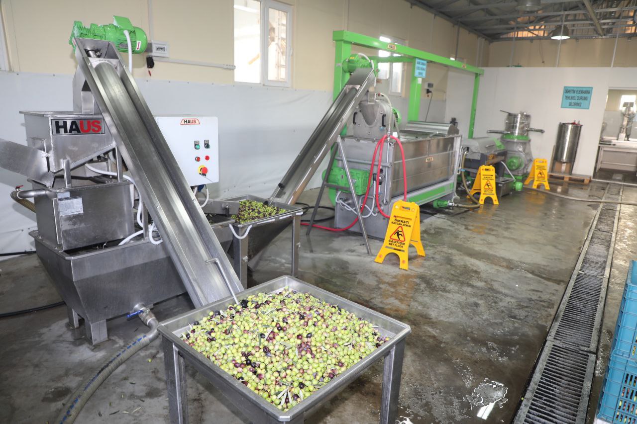 Edremit-Belediyesinden-zeytine-buyuk-destek-2 Edremit Belediyesinden zeytine büyük destek