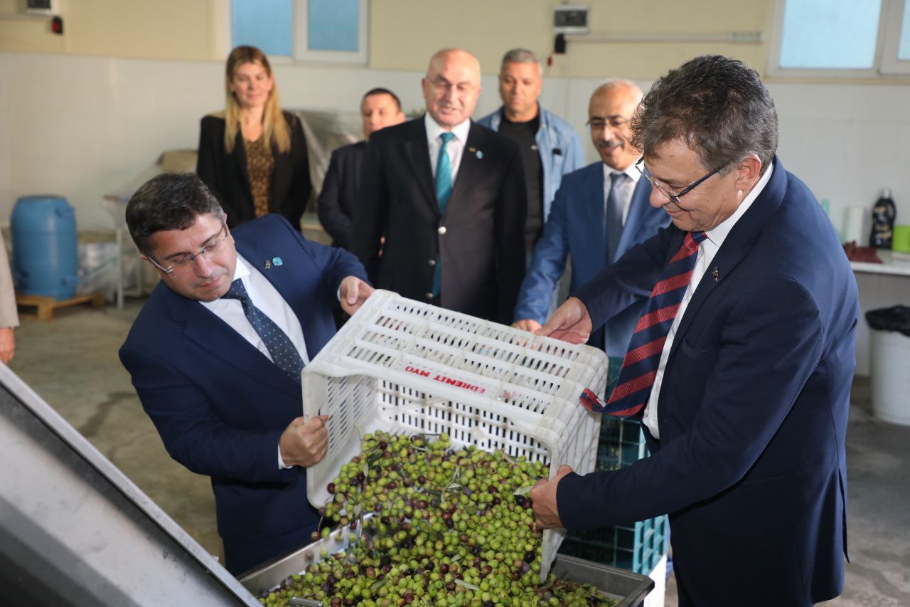 Edremit-Belediyesinden-zeytine-buyuk-destek-8 Edremit Belediyesinden zeytine büyük destek