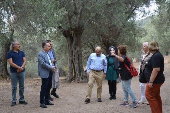 WhatsApp-Image-2023-11-04-at-18.54.13-345x230 VALİ USTAOĞLU, ANTANDROS ANTİK KENTİ KAZI ALANINI ZİYARET ETTİ