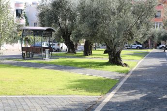 Park Düzenlemesi (10)
