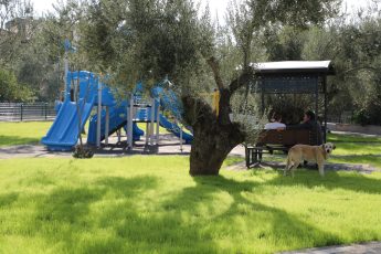 Park Düzenlemesi (5)