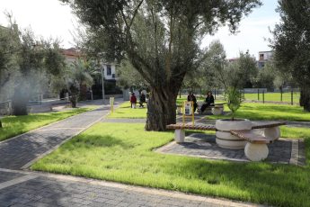 Park Düzenlemesi (7)