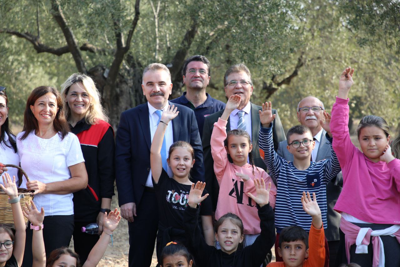 zeytin hasadı (1)