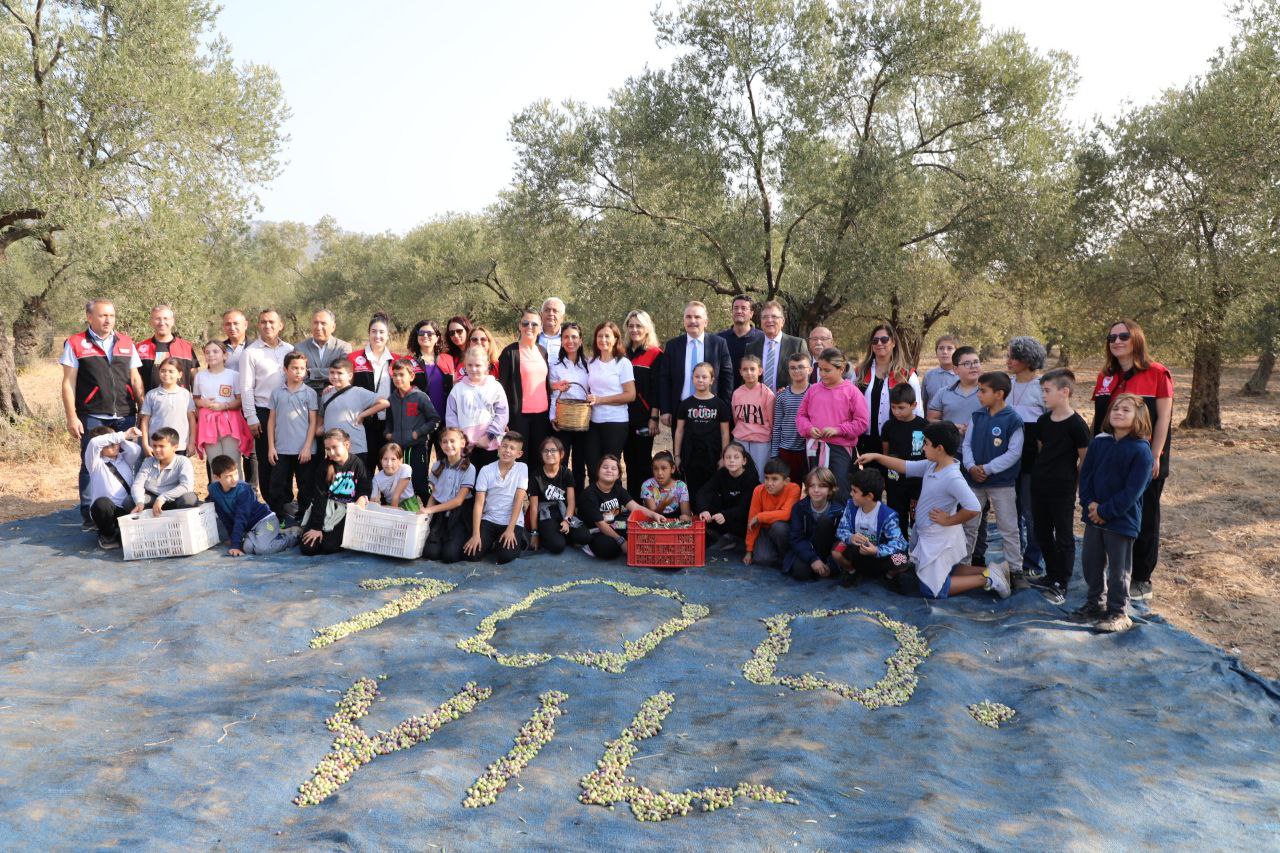 zeytin-hasadi-2 BAŞKAN ARSLAN ÖĞRENCİLERLE ZEYTİN HASADI YAPTI