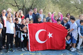 zeytin hasadı (3)