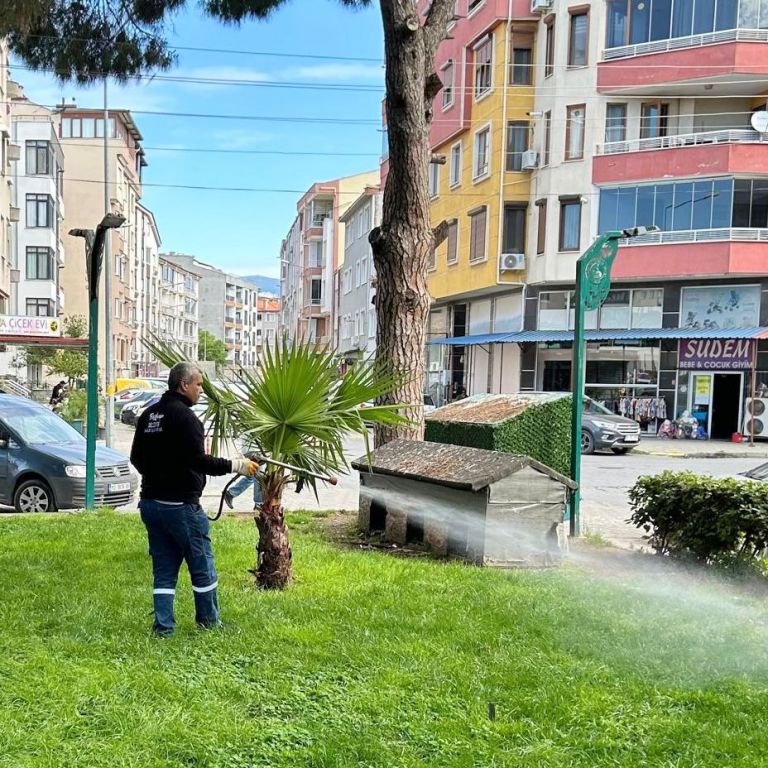 6 SİNEK VE HAŞERESİZ YAZ İÇİN EKİPLER SAHADA