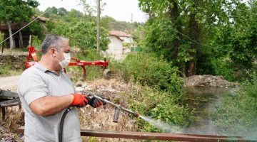 81 Kırsal 13 Merkez mahalle ekipler tarafından ilaçlanıyor