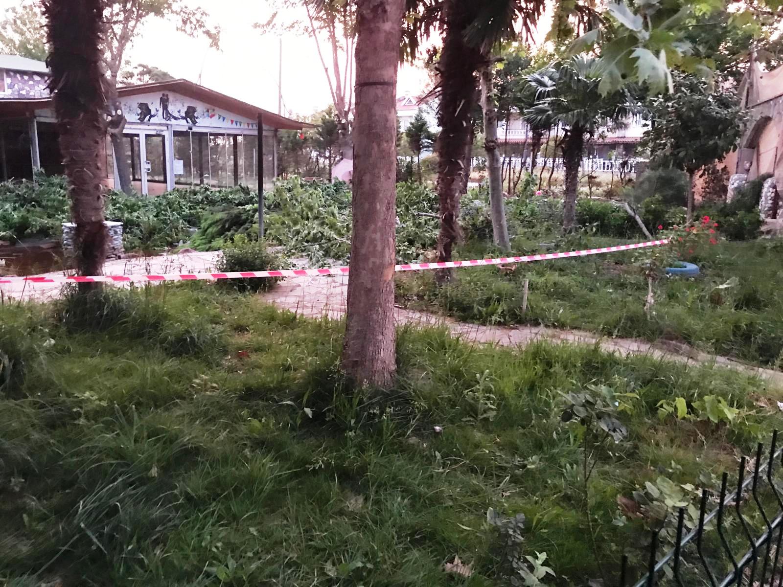 006 Edremitte Ne Yasa Dinliyorlar Ne İmarı Takıyorlar