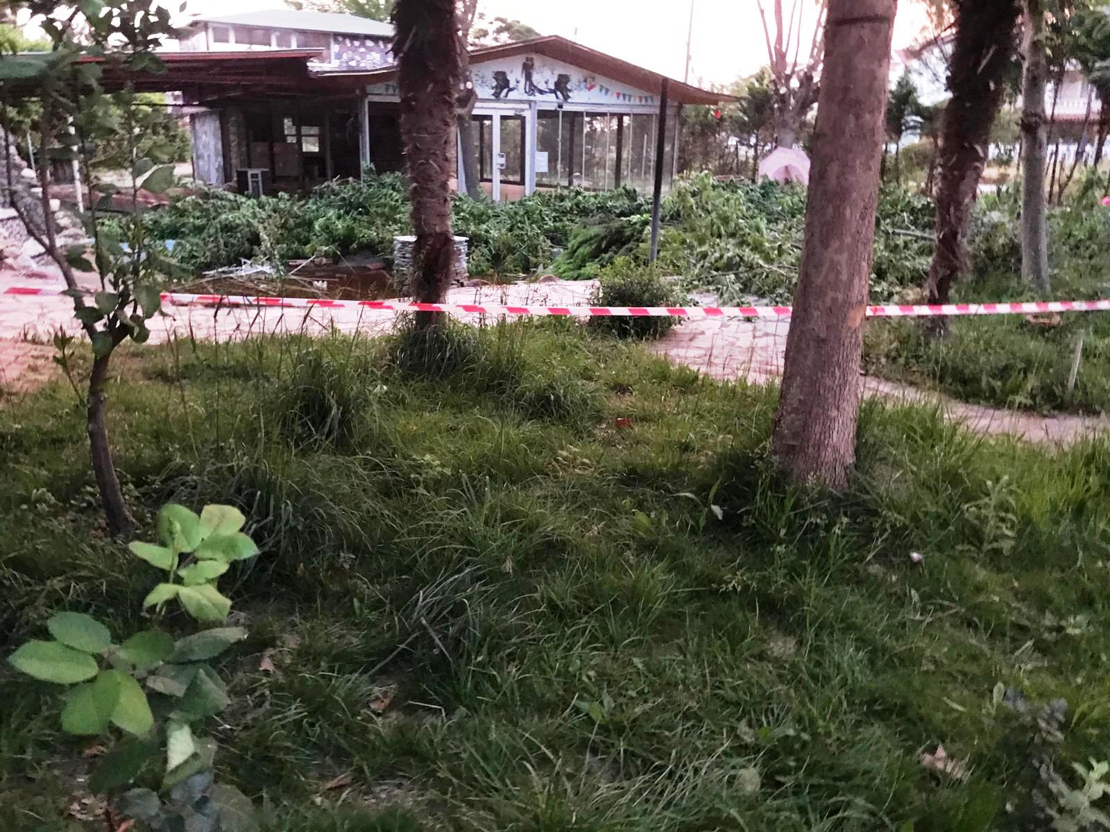 007 Edremitte Ne Yasa Dinliyorlar Ne İmarı Takıyorlar