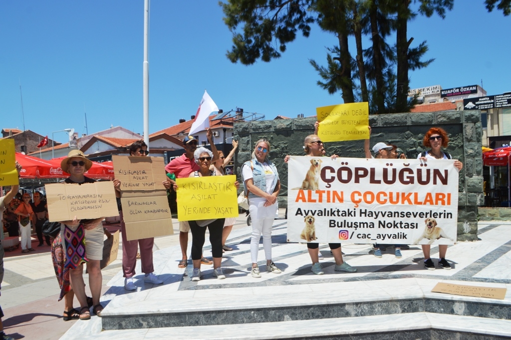 DSC_0569 ARMAĞAN ÇAĞLAYAN SOKAK HAYVANLARIYLA İLGİLİ YÜREKLERE SU SERPTİ