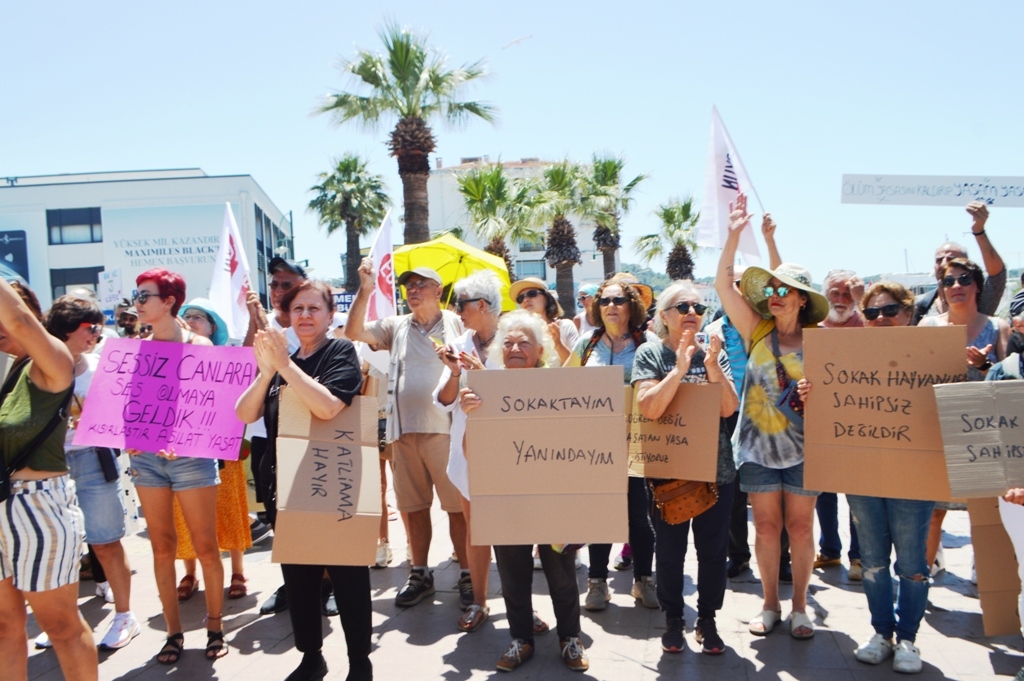 DSC_0578 ARMAĞAN ÇAĞLAYAN SOKAK HAYVANLARIYLA İLGİLİ YÜREKLERE SU SERPTİ