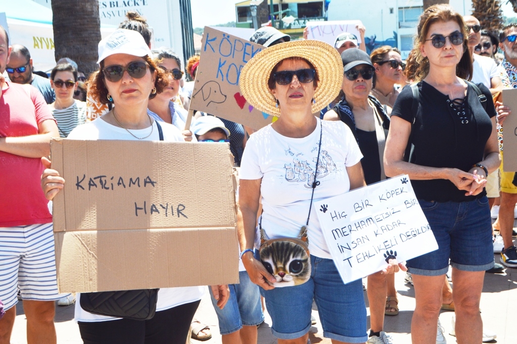 DSC_0587 ARMAĞAN ÇAĞLAYAN SOKAK HAYVANLARIYLA İLGİLİ YÜREKLERE SU SERPTİ