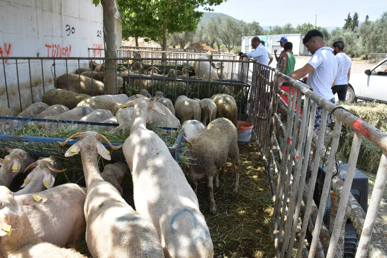 Edremit Belediyesi Kurban Bayramı’na hazır