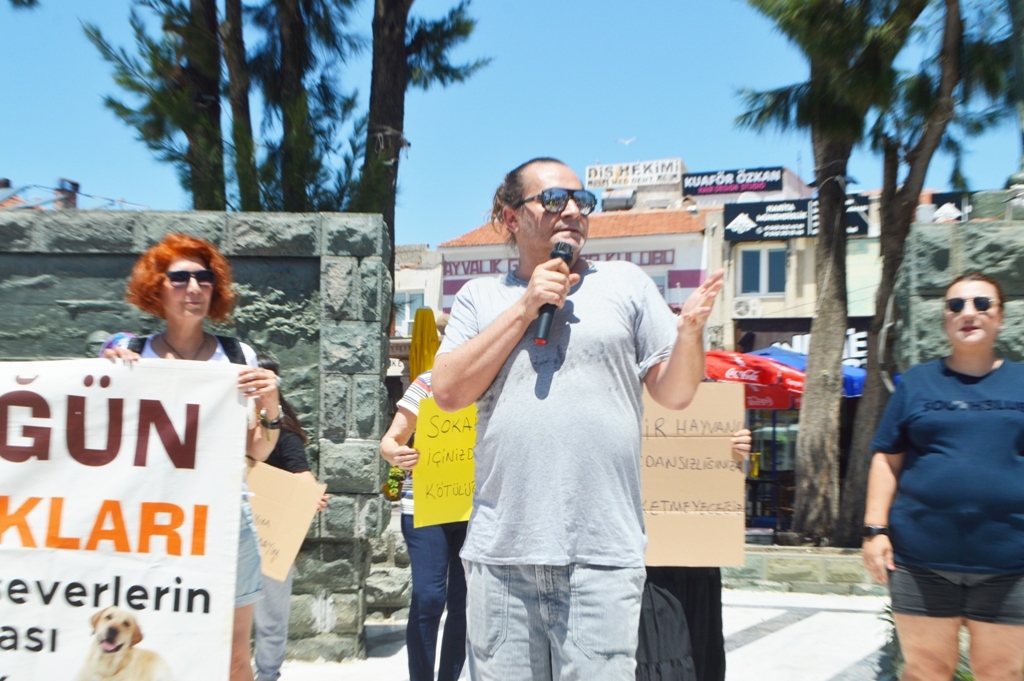 armagan_caglayan-3 ARMAĞAN ÇAĞLAYAN SOKAK HAYVANLARIYLA İLGİLİ YÜREKLERE SU SERPTİ