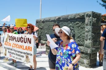 hayvanseverlerden_sevzen_aslantepe-345x229 ARMAĞAN ÇAĞLAYAN SOKAK HAYVANLARIYLA İLGİLİ YÜREKLERE SU SERPTİ