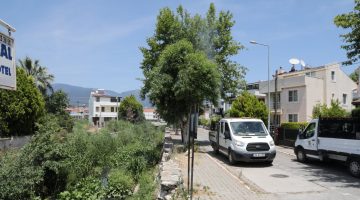 Edremit Belediyesi sinek ve haşere mücadelesine devam ediyor