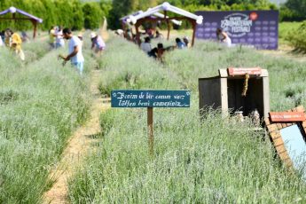 08.07.2024_balikesir_5._aromaterapi_festivali_muhtesem_bir_organizasyonla_gerceklestirildi_9