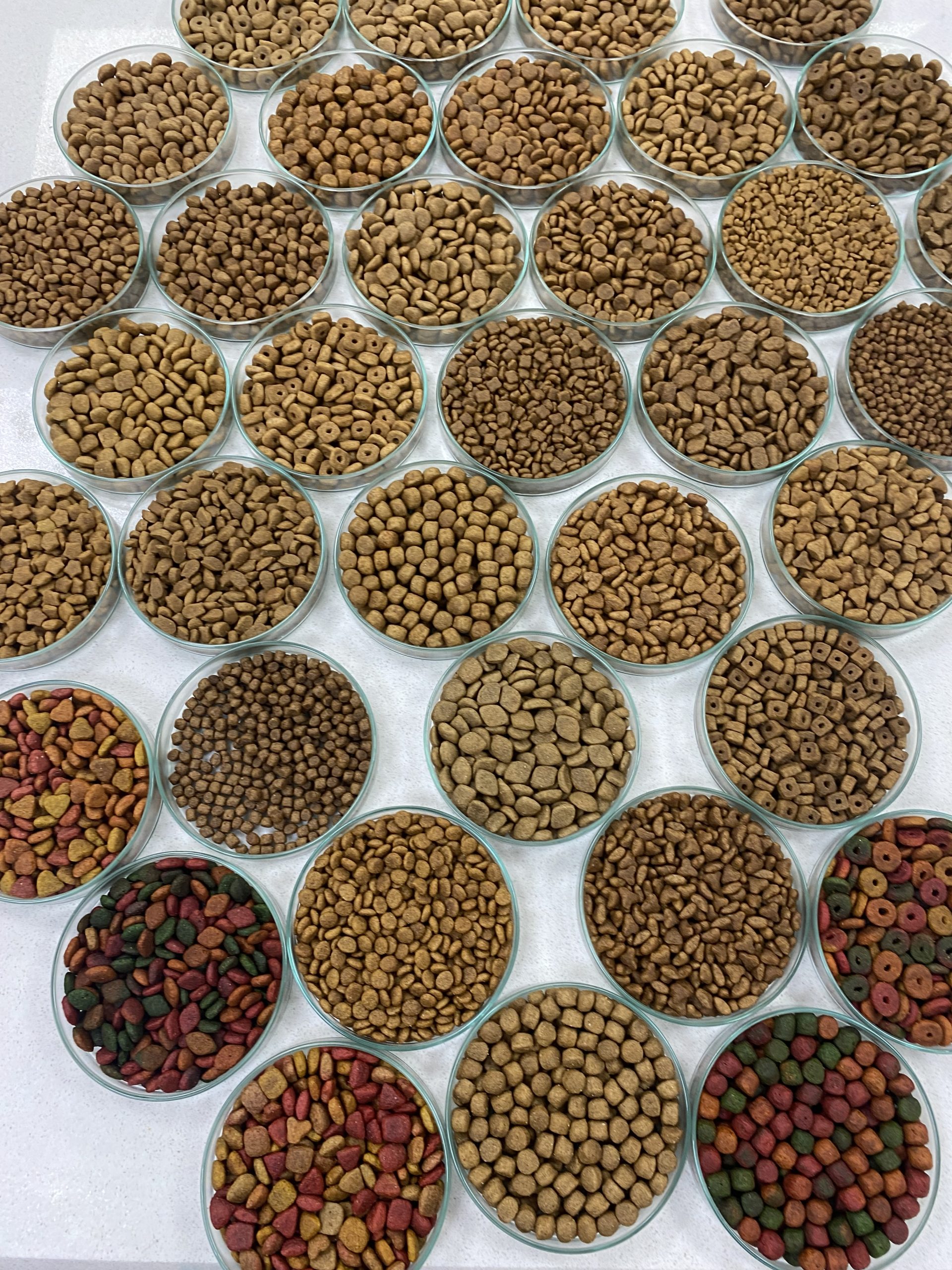 1721896001_1707370343_MAMA__1_-scaled 91 ülkedeki patili dostların maması Türkiye’den