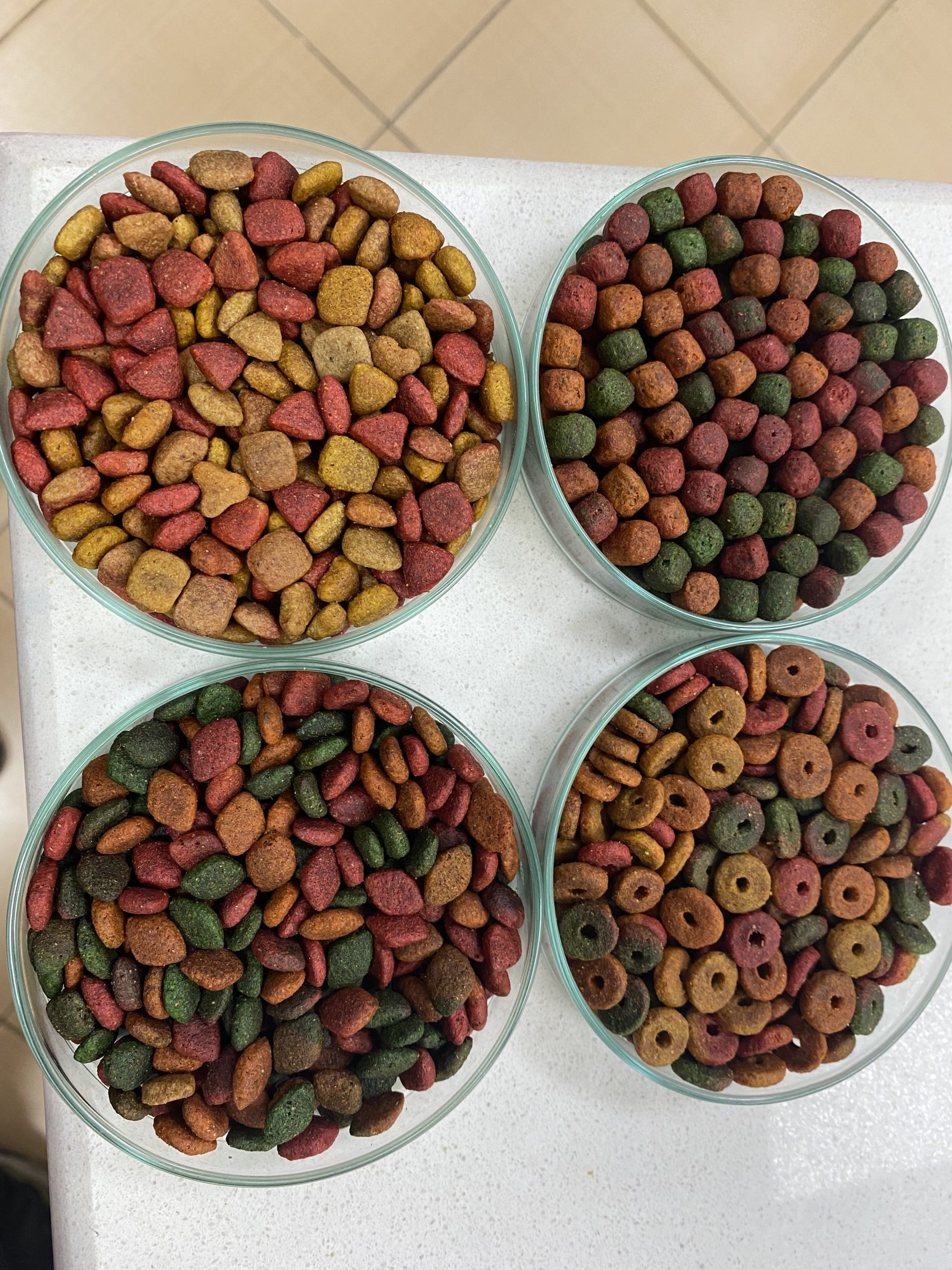 1721896002_1707370346_MAMA__3_-scaled 91 ülkedeki patili dostların maması Türkiye’den