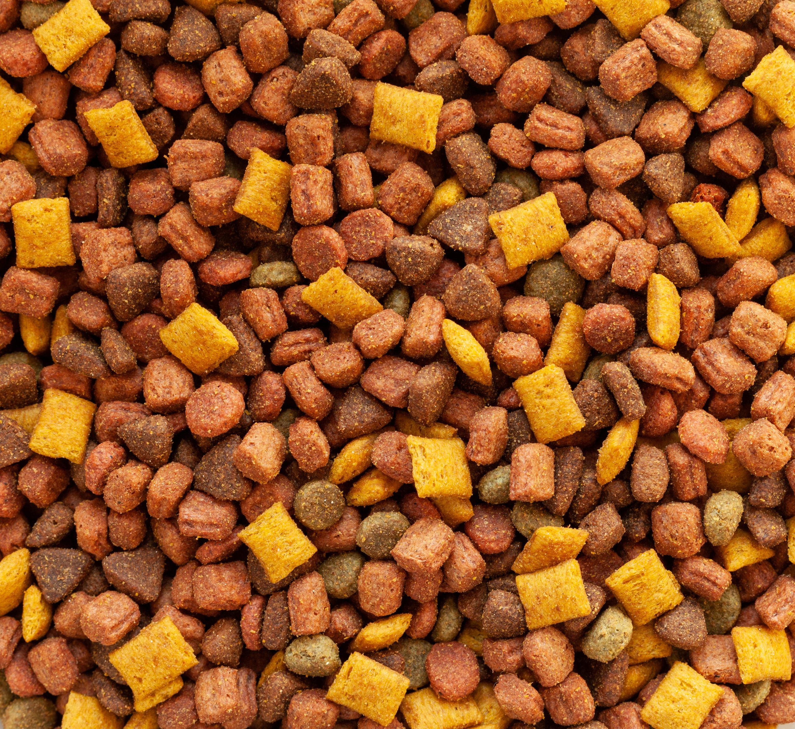 1721896005_1707370647_1706604048_1664176044_Mama__3_-scaled 91 ülkedeki patili dostların maması Türkiye’den