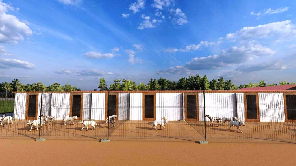 Can-Dostlar-Yuvasina-Kavusuyor-8 Edremit’te Sokak Hayvanları İçin Yeni Bir Yuva