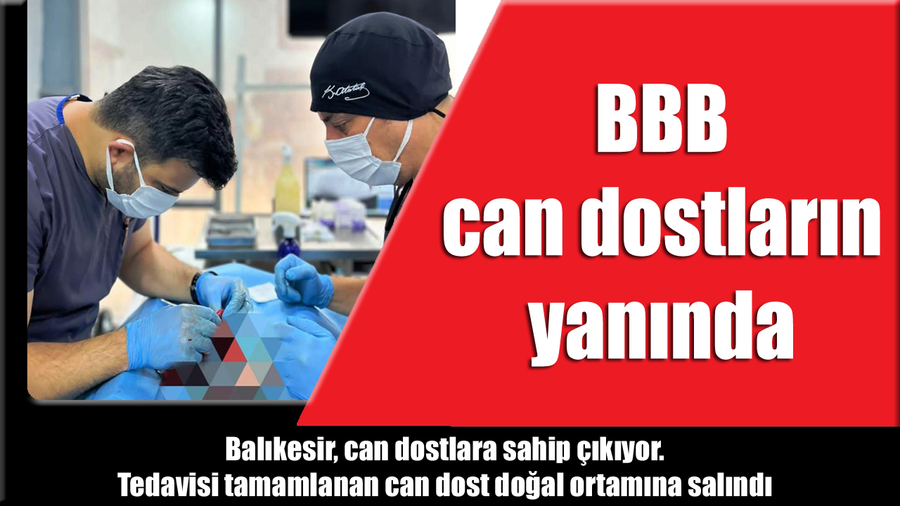 BBB, can dostların yanında