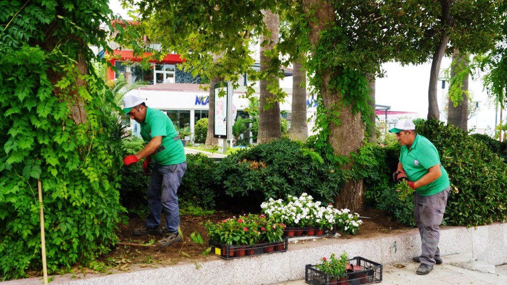 photo_2024-07-11_14-12-03 Altınoluk'un Tarihi Çınaraltı Çay Bahçesi yeniden açılıyor