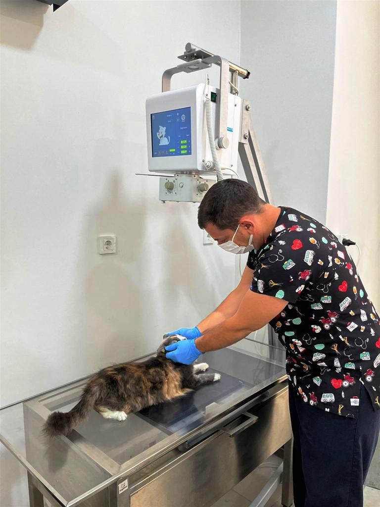 tedavisi_tamamlanan_can_dost_dogal_ortamina_salindi_1 BBB, can dostların yanında