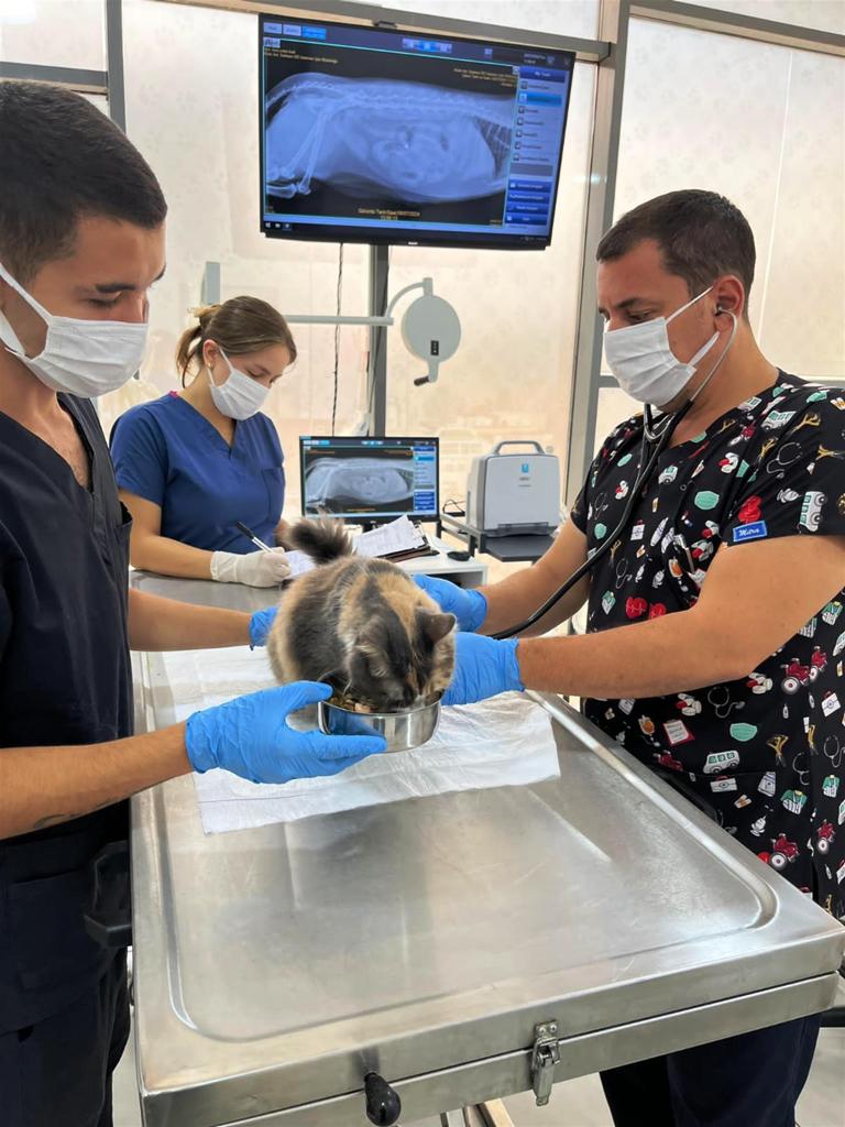 tedavisi_tamamlanan_can_dost_dogal_ortamina_salindi_2