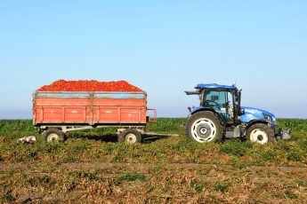 buyuksehirin_tarimsal_sulama_destegiyle_ilk_hasat_yapildi_13-345x230 Başkan Akın, üreticinin yüreğine su serpti