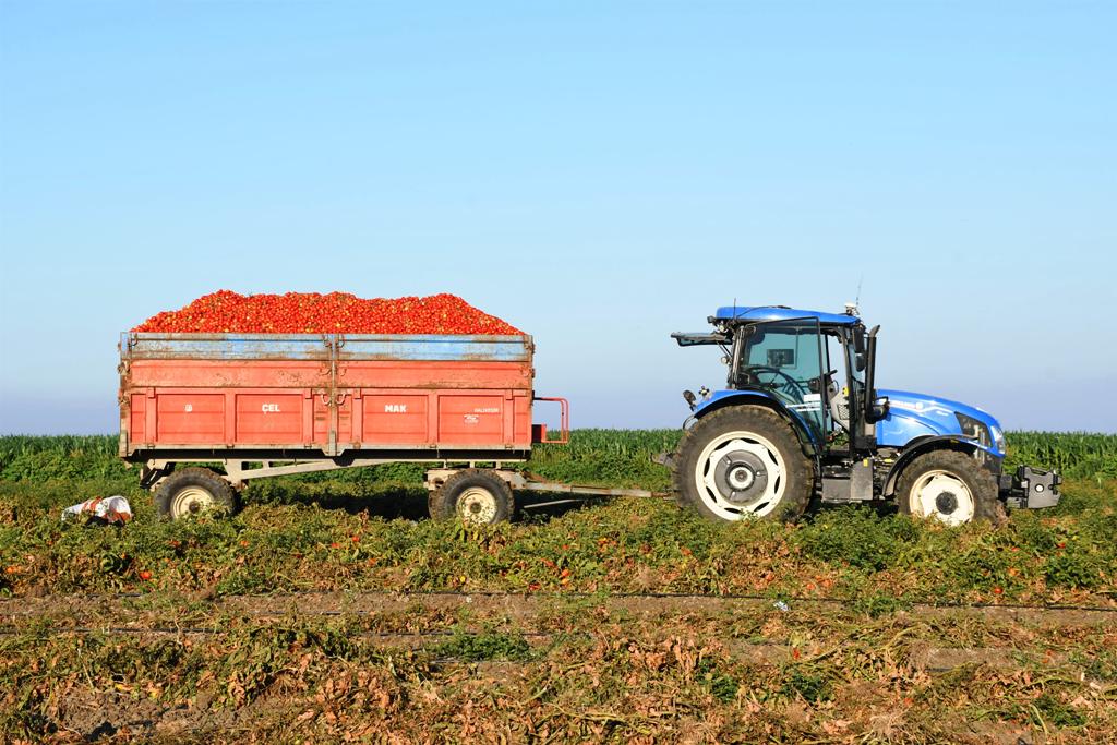 buyuksehirin_tarimsal_sulama_destegiyle_ilk_hasat_yapildi_13 Başkan Akın, üreticinin yüreğine su serpti