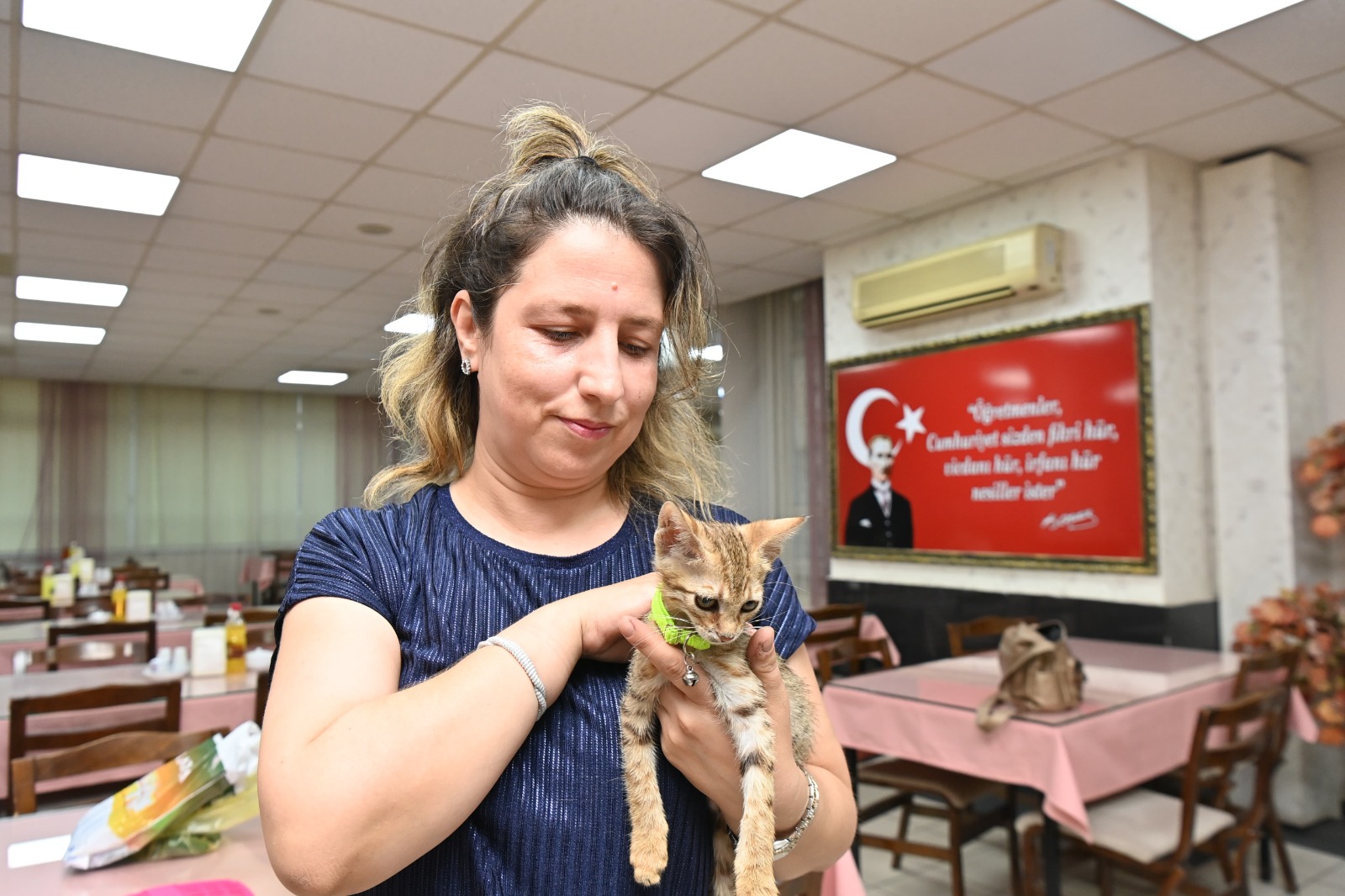 tedavisi_tamamlanan_yavru_kedi_biber_sahibiyle_bulustu_1