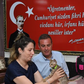 tedavisi_tamamlanan_yavru_kedi_biber_sahibiyle_bulustu_10