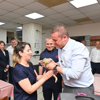tedavisi_tamamlanan_yavru_kedi_biber_sahibiyle_bulustu_2