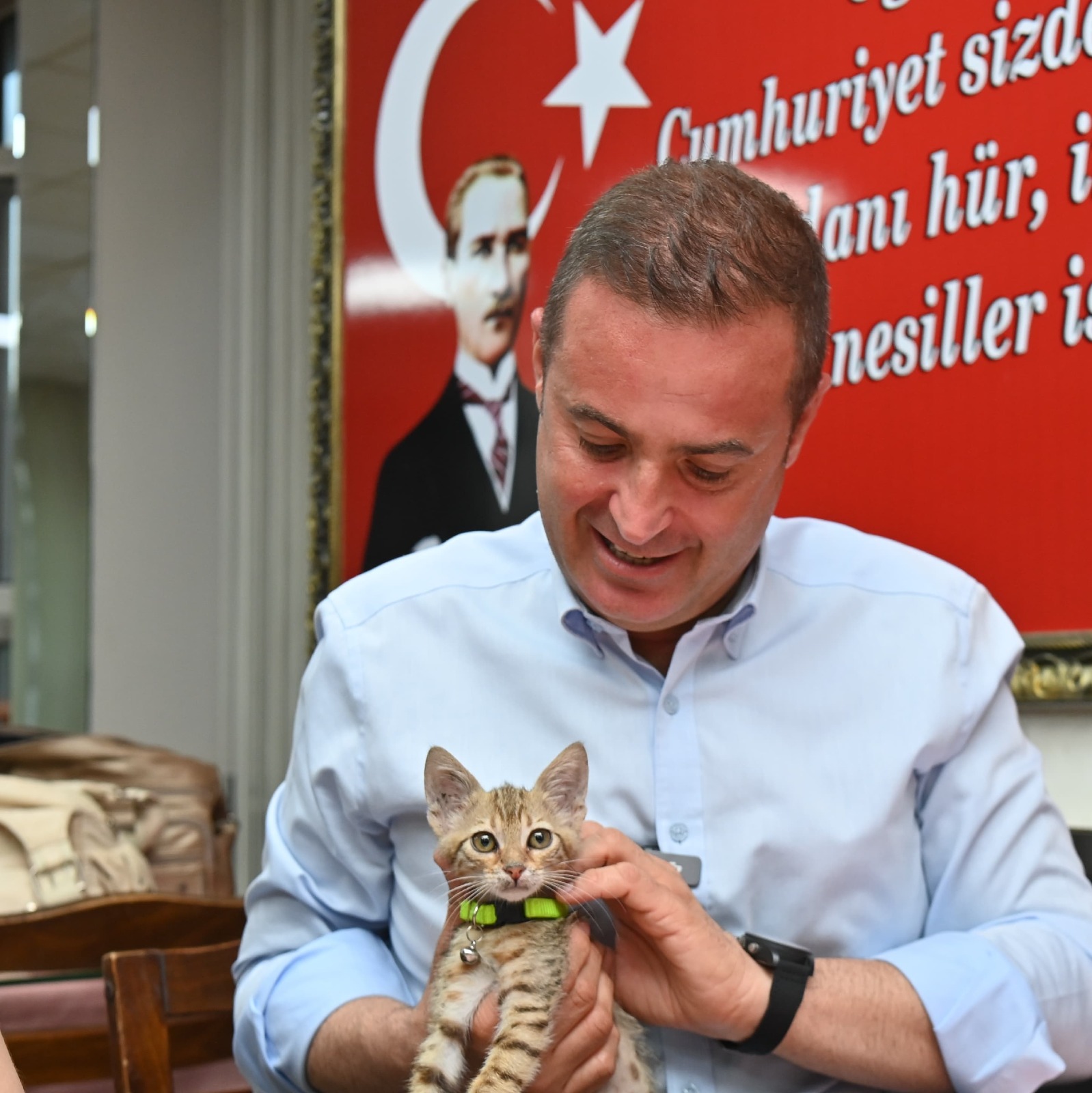 tedavisi_tamamlanan_yavru_kedi_biber_sahibiyle_bulustu_7 Tedavisi Tamamlanan Yavru Kedi Biber Sahibiyle Buluştu - Balıkesir Büyükşehir Belediyesi
