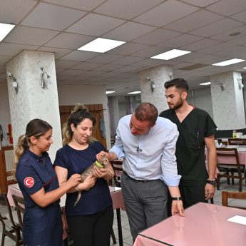 tedavisi_tamamlanan_yavru_kedi_biber_sahibiyle_bulustu_8