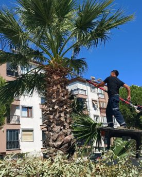 EDREMITTE-PARKLAR-YENILENIYOR-1-276x345 EDREMİT’TE PARKLAR YENİLENİYOR