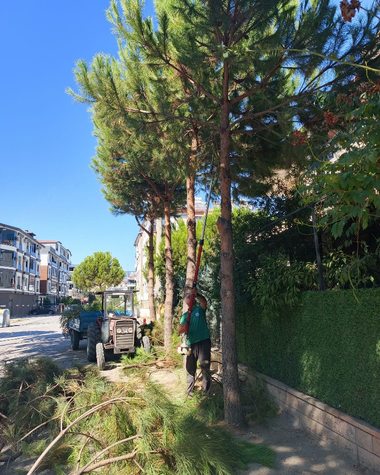 EDREMITTE-PARKLAR-YENILENIYOR-3 EDREMİT’TE PARKLAR YENİLENİYOR