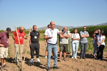 bacem_sektore_nitelikli_bahcivanlar_kazandiriyor_1-345x230 BAÇEM sektöre nitelikli bahçıvanlar kazandırıyor