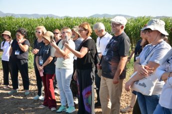 bacem_sektore_nitelikli_bahcivanlar_kazandiriyor_3-345x230 BAÇEM sektöre nitelikli bahçıvanlar kazandırıyor