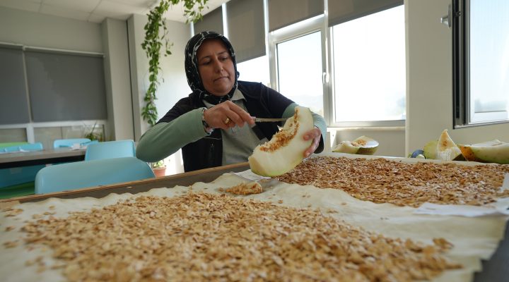 Balıkesir Büyükşehir Belediyesi, tarımı yerel tohumlarla gelecek nesillere aktarıyor