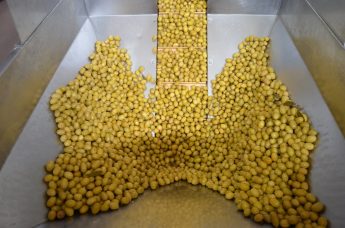 zeytinyagi-sektoru-2-345x228 Türk zeytin ve zeytinyağı sektörü Kanada’yı radarına aldı